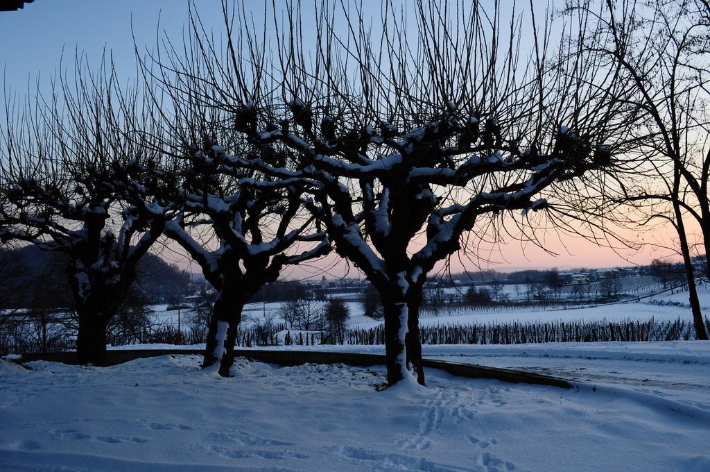 Gigante Wine & Welcome Corno di Rosazzo Zewnętrze zdjęcie