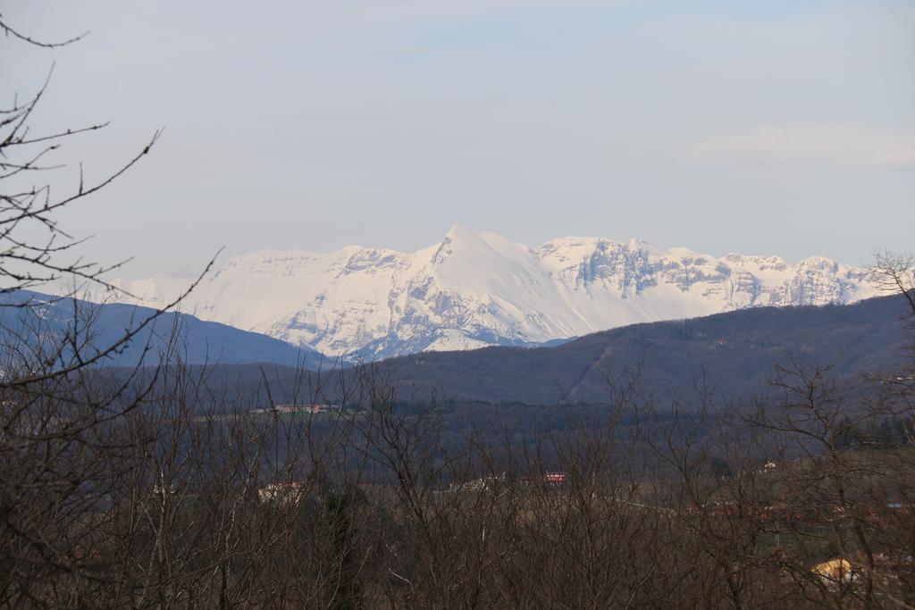 Gigante Wine & Welcome Corno di Rosazzo Zewnętrze zdjęcie