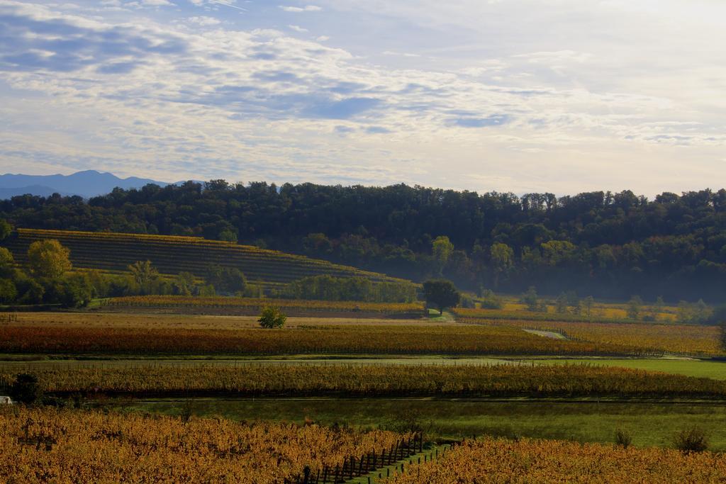 Gigante Wine & Welcome Corno di Rosazzo Zewnętrze zdjęcie